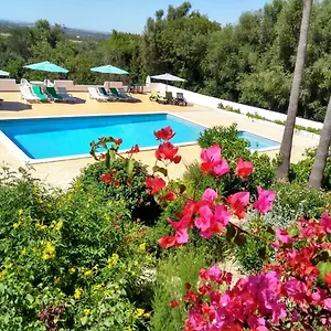 feliz-apartments.hotelaalgarve.com/